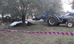 Bursa'da zeytin bahçesine getirilen gübrenin içinde ceset bulundu