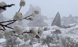 Kapadokya'da etkili olan kar yağışı, baharda açan çiçekleri beyaz örtüyle kapladı