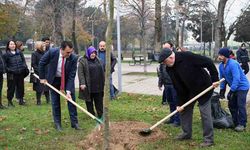 Lodos yıktı, Osmangazi Belediyesi yeniden dikti