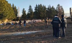 Osmangazi Zabıta ekipleri tarım arazilerine zarar veren koyunlara müdahale etti