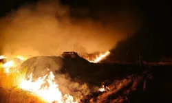 Şırnak'taki anız yangını yeniden başladı: 7 köy etkilendi