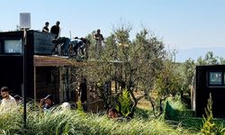 Mudanya'da tarım arazilerindeki Tiny House'lar yıkılıyor