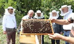 İnegöl bal üretiinde vites yükseltti