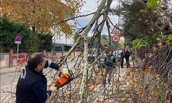 İnegöl Belediyesi sahaya indi; Lodosun izleri siliniyor