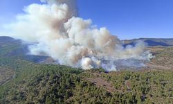 Bursa'da yine yangın! Hava ve karadan müdahale var