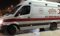 Bursa'da yine ambulans şoförüne saldırdılar