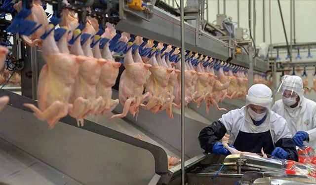 Ticaret Bakanlığı açıkladı: Beyaz ete ihracat yasağı geliyor