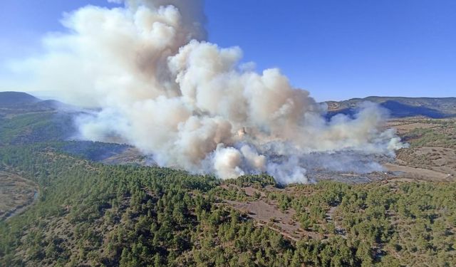 Bursa'da yine yangın! Hava ve karadan müdahale var