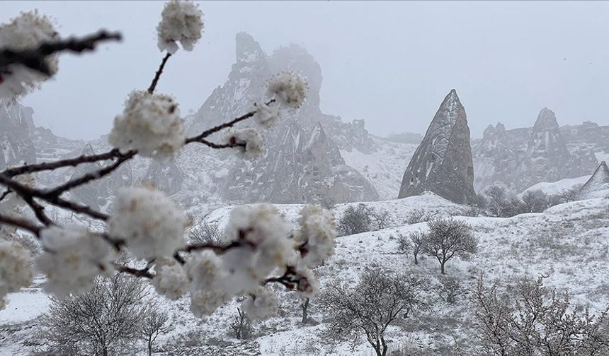 Kapadokya'da etkili olan kar yağışı, baharda açan çiçekleri beyaz örtüyle kapladı