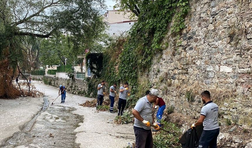 Temiz çevre için güç birliği